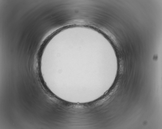 X0000116321070201001130958