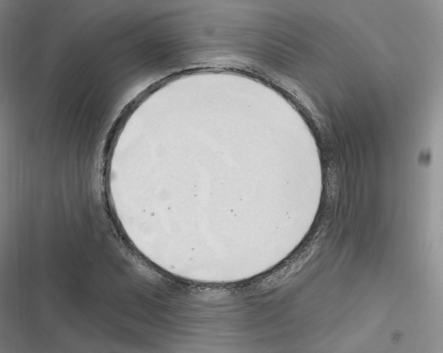 X0000116321071201001130958