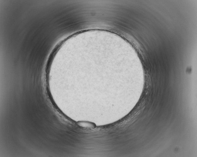 X0000116321072201001130958