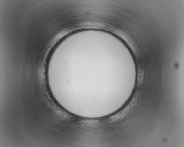 X0000116321074201001130958