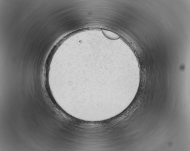 X0000116321076201001130958