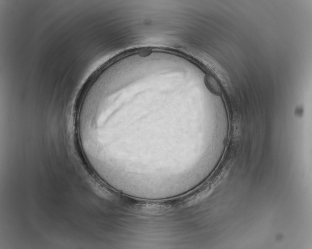 X0000116321077201001130958