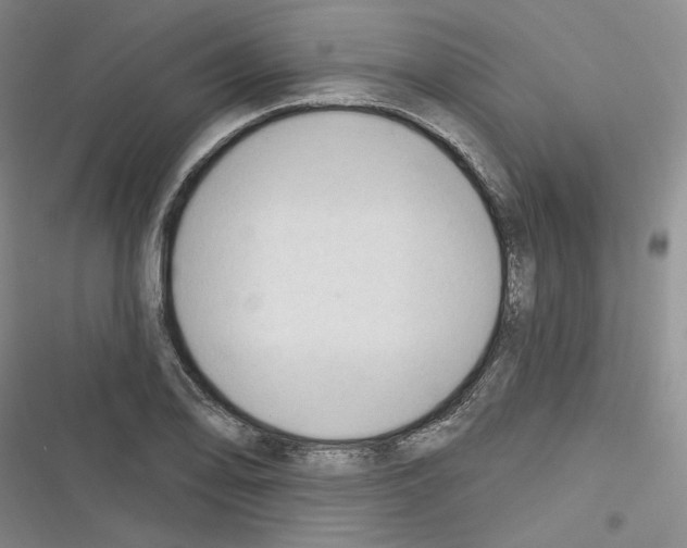 X0000116321078201001130958