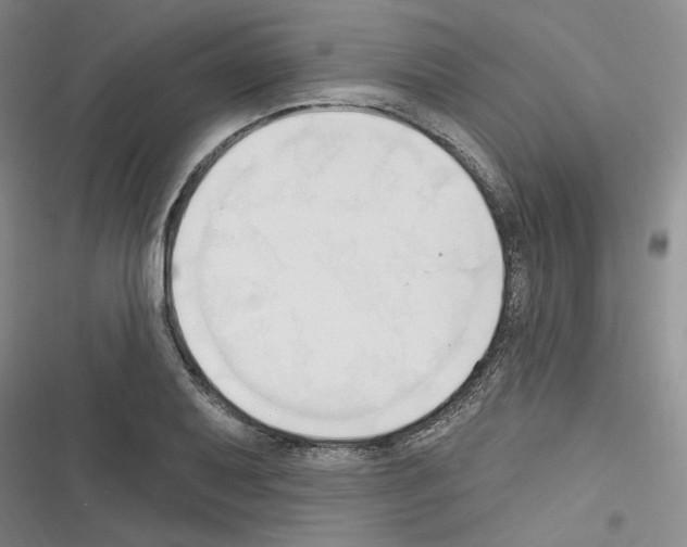 X0000116321079201001130958