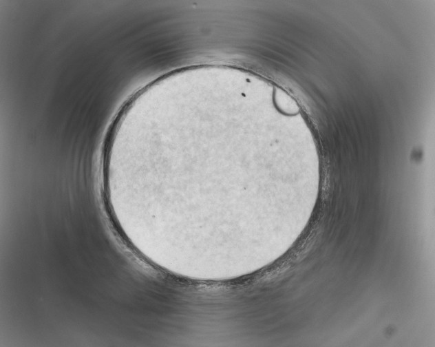 X0000116321080201001130958