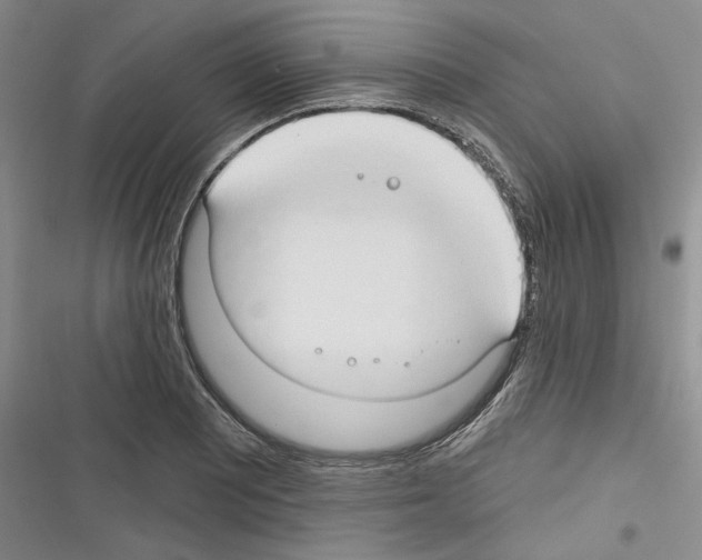 X0000116321081201001130958