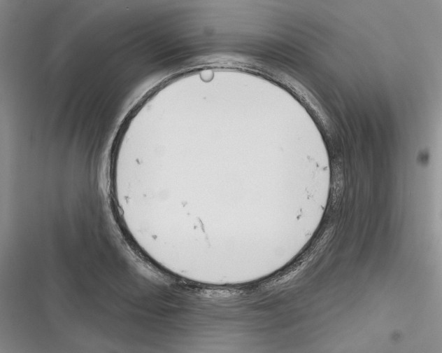 X0000116321082201001130958