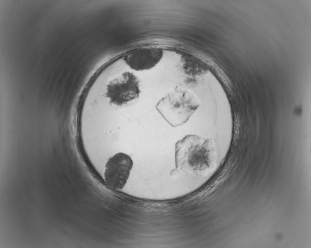 X0000116321083201001130958