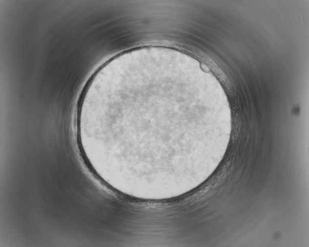 X0000116321084201001130958