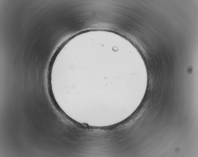 X0000116321085201001130958