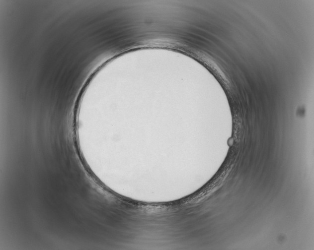 X0000116321087201001130958