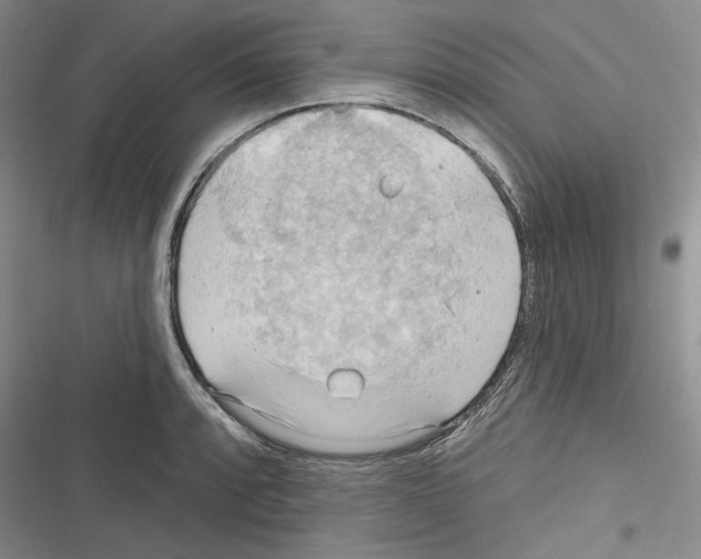 X0000116321088201001130958