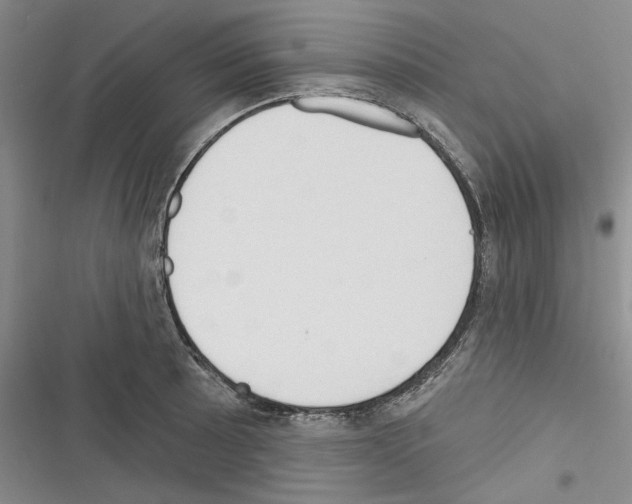 X0000116321089201001130958