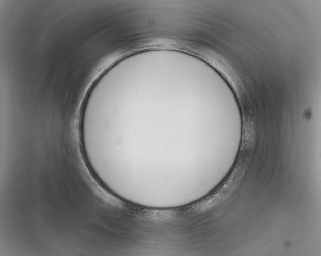 X0000116321090201001130958