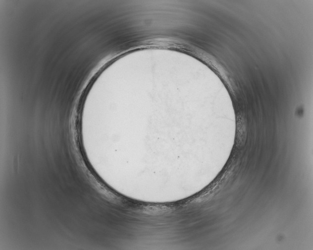 X0000116321091201001130958