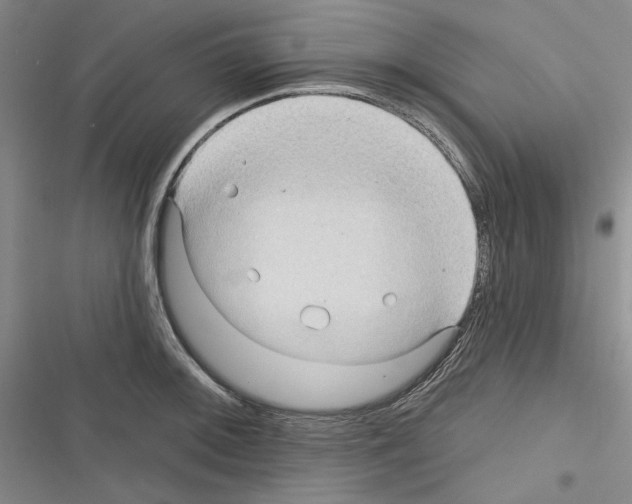 X0000116321092201001130958