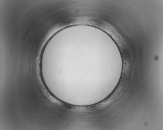 X0000116321094201001130958