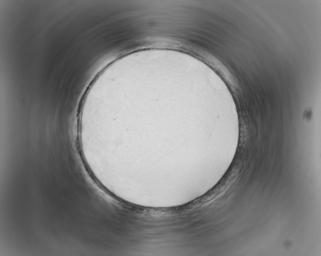 X0000116321095201001130958