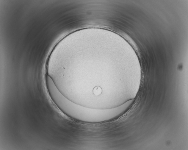 X0000116321096201001130958