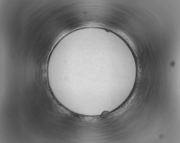 X0000116321097201001130958