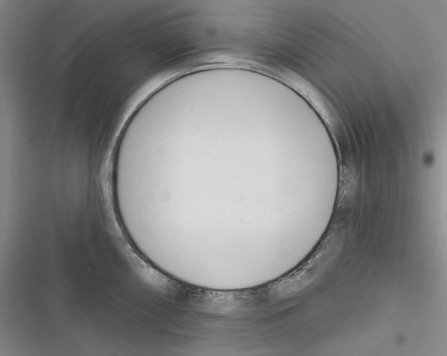 X0000116321098201001130958