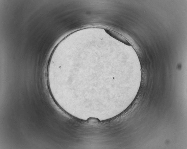 X0000116321100201001130958