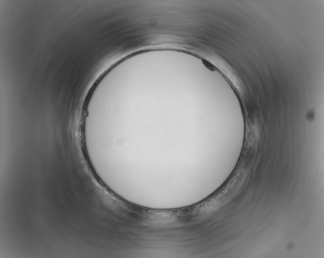 X0000116321101201001130958