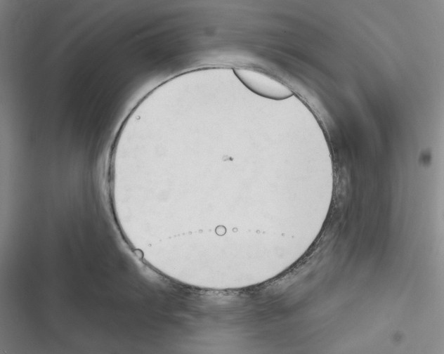 X0000116321103201001130958