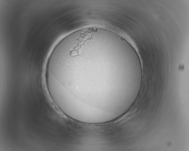 X0000116321104201001130958