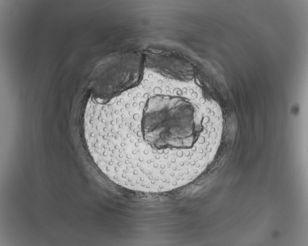 X0000116321105201001130957