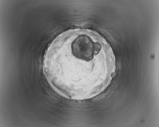 X0000116321106201001130957