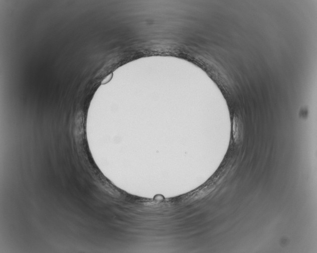 X0000116321107201001130957