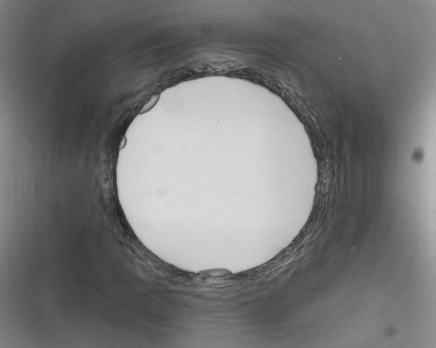 X0000116321109201001130957