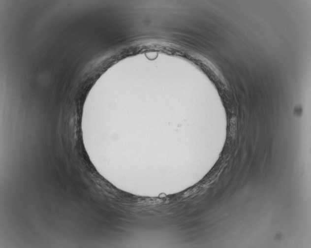 X0000116321111201001130957