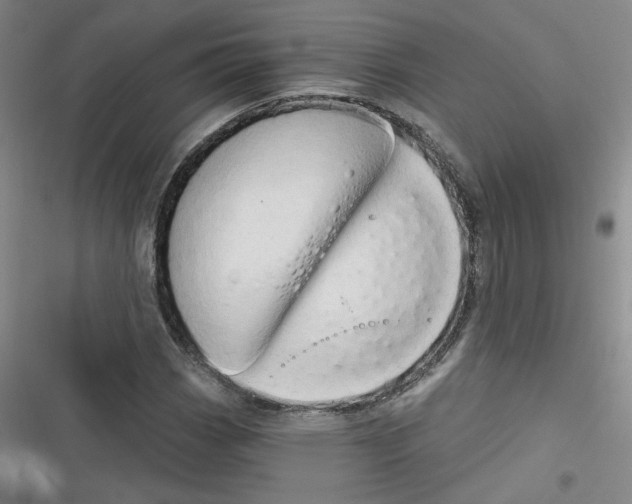 X0000116321113201001130957