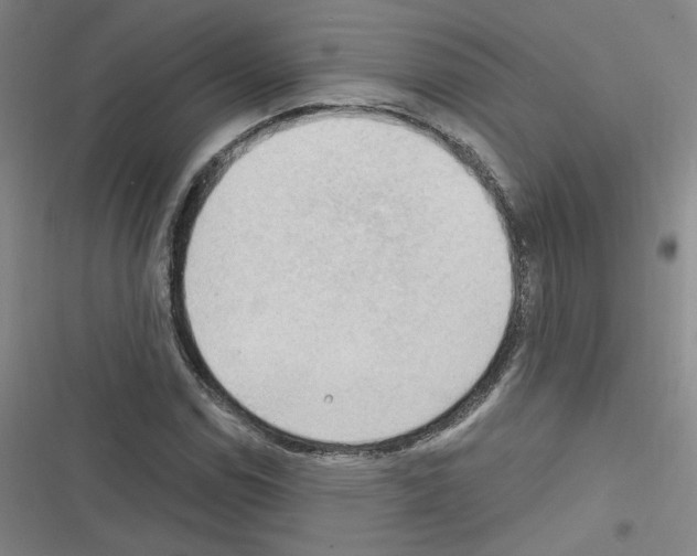 X0000116321114201001130957