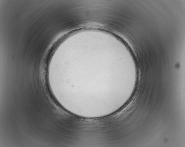 X0000116321115201001130958