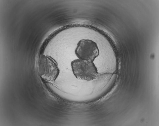 X0000116321117201001130958