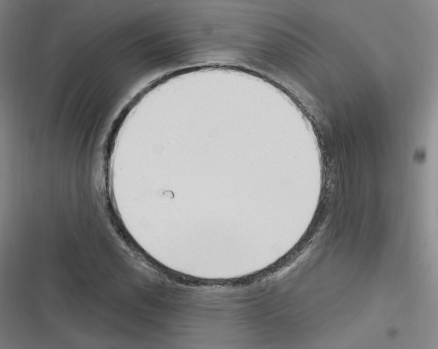 X0000116321118201001130958