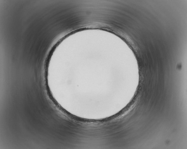 X0000116321122201001130958