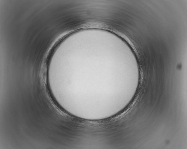 X0000116321123201001130958