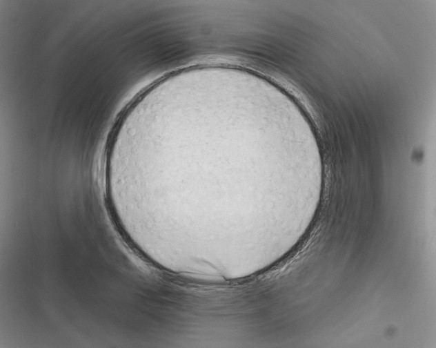 X0000116321127201001130958