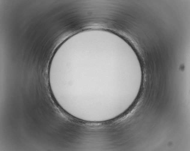 X0000116321129201001130958