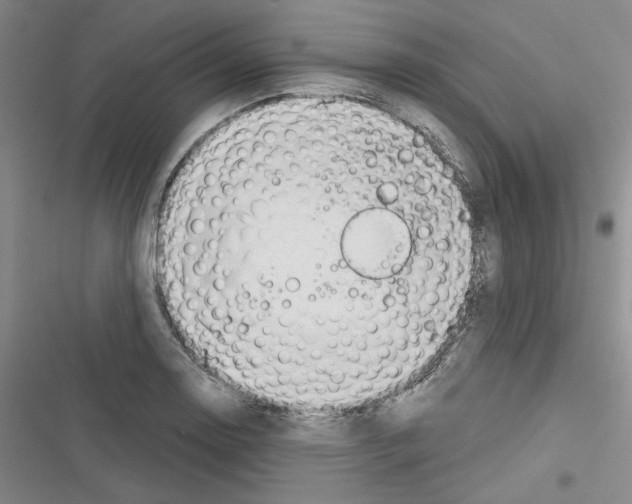 X0000116321130201001130958