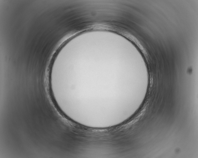 X0000116321133201001130958