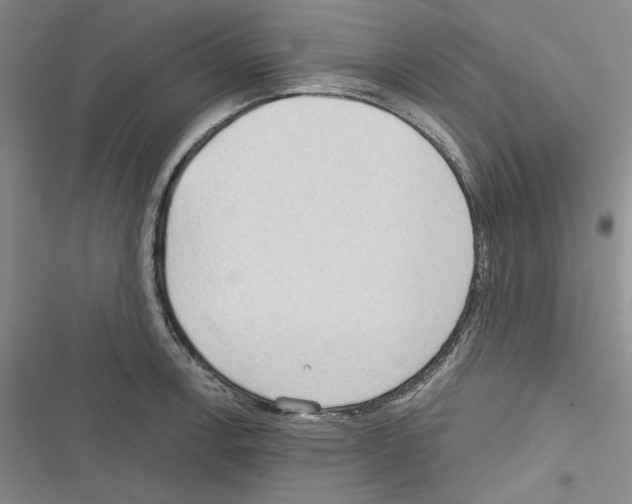 X0000116321138201001130958