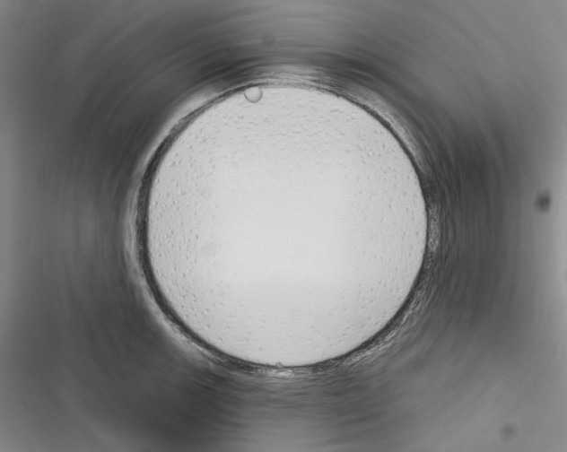 X0000116321139201001130958