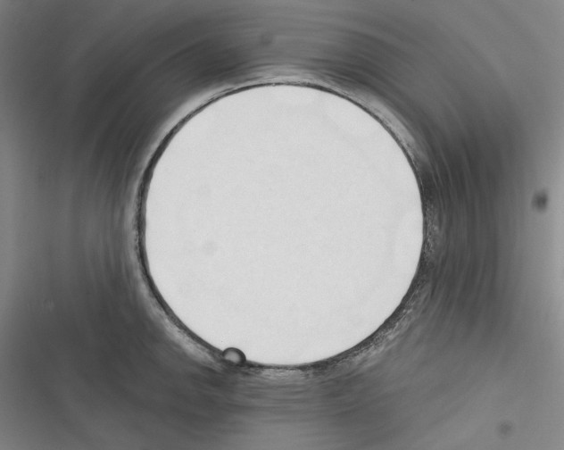 X0000116321142201001130958