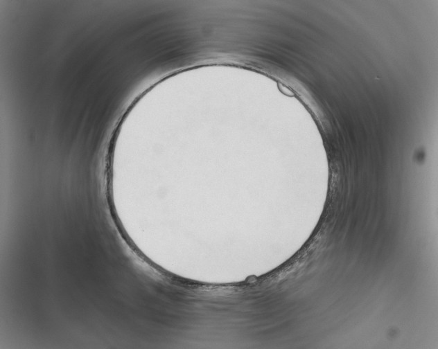 X0000116321143201001130958