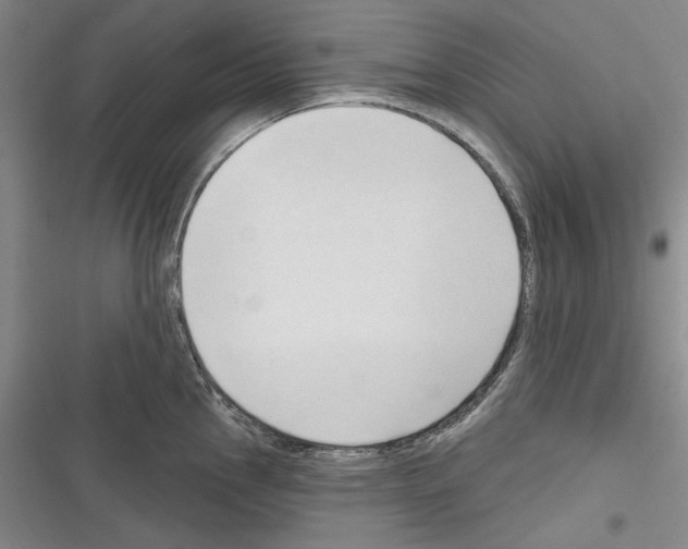 X0000116321145201001130958